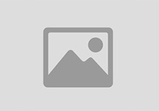 Muscle Sparing Hip Replacement